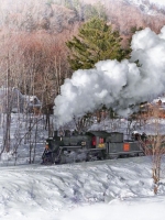 Class AA Second Place, Steam in the Snow by Dan Spendolini