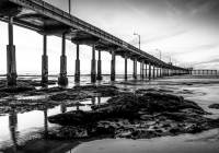 3rd-B&W  Ted-LawsonPier-at-Low-Tide