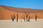 1st AA, Deadvlei 7 by Thomas Wilusz