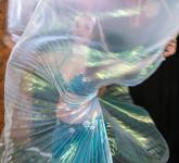 3rd_A_veiled dancer_VanDijk Leo