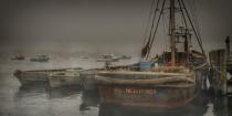 3rd_B_Foggy Harbor_Miller Bud