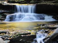 3rd_ColorPrintB_Comp1_Rickett Glen Falls_KFrench