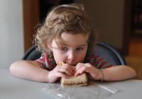 1st Place Class B Open – PB & J by Elaine Sandy 1st Place Class B Open – PB & J by Elaine Sandy