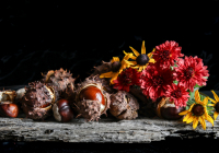 3rd Place Class A Open – Complimentary Colors in Fall by Lorraine Anderson