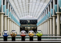 2nd Place Class AA Open – Pick Your Bubble Gum by Noreen Berthiaume
