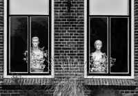 1st Place Class A Open – Heads in Bloom by Bernadette van der Vliet