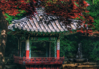 2nd Place Class B Open – Rest Stop, Changdeokgung Palace, Seoul by Doug Ray