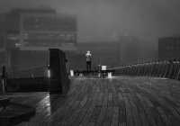 3rd Place Class A Open – Contemplation in the Fog by Lorraine Anderson 3rd Place Class A Open – Contemplation in the Fog by Lorraine Anderson