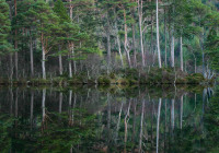2nd Place Color A Print Open – Silent Reflection by Dennis Goulet