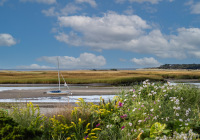 1st Place Color B Print Open – Waiting for the Tide by Nanay Tynan