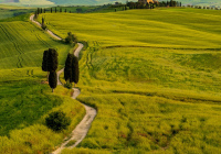 IDigital Image Class B IOY, Open, Gladiator House Tuscany by Joan Teno IDigital Image Class B IOY, Open, Gladiator House Tuscany by Joan Teno