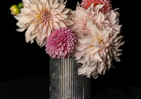 3rd Place Color B Print Open – Pink Dahlias by Helen Lambiase