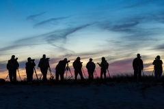 Vantage Point on the dune