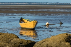 Yellow dory at Point of Rocks