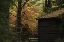 Eighth Lake Campground by Barbara