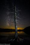 Milkyway with tree by Kevin Bernard