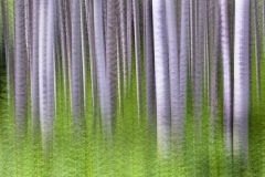 Needle_05