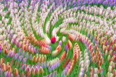 Needle_06