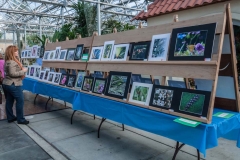 prints to be judged 2