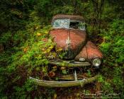 Nature reclaimsw