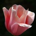 IMG_7955_edited-2