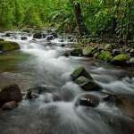 gouletstream