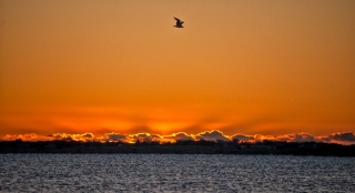 Sunrise by Donna Hughes
