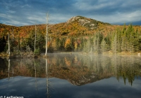Wildlife Pond 2 - Leslie