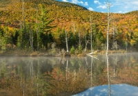 Wildlife Pond 3 - Leslie