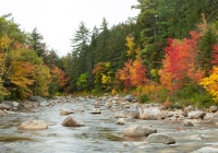 Above Rocky Gorge - Leslie
