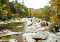 Leaf Peepers - Leslie