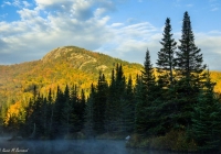 Early light at Wildlife Pond - Kevin