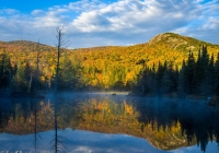 Wildlife Pond - Kevin