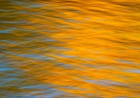 Fall Reflections - Kevin