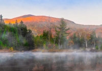 Wildlife Pond - Kevin