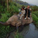 Elephant Jungle Ride