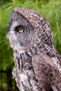 Test Image before Topaz Lens Effects