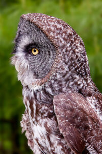 Test Image after Topaz Lens Effects