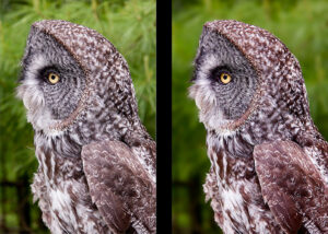 Before-After Comparison