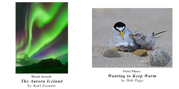 PSRI 2016 Glennie Winners